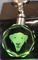 Load image into Gallery viewer, LED Cystal Key Chains
