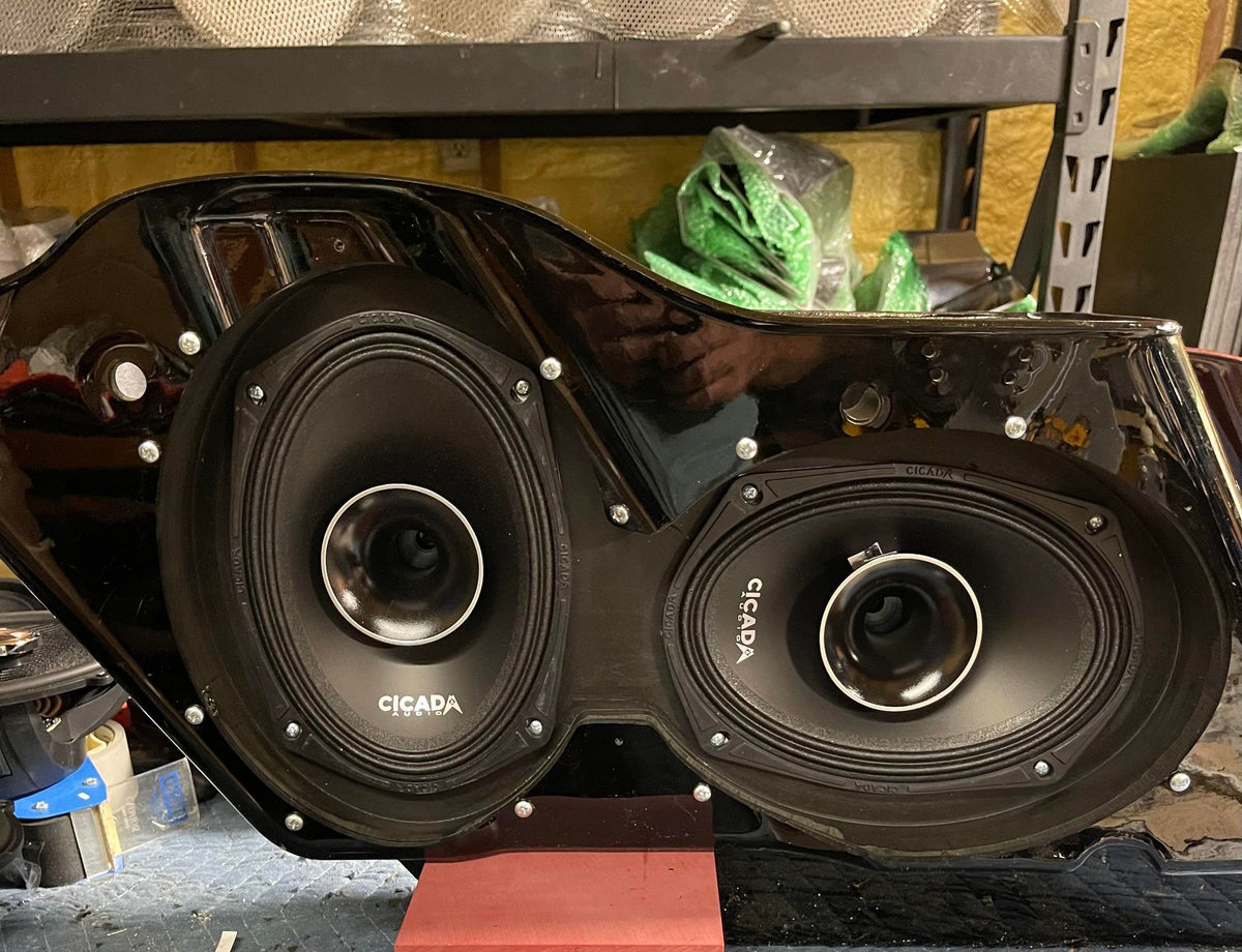 Insane Asylum 6X9 Adapters (pair)